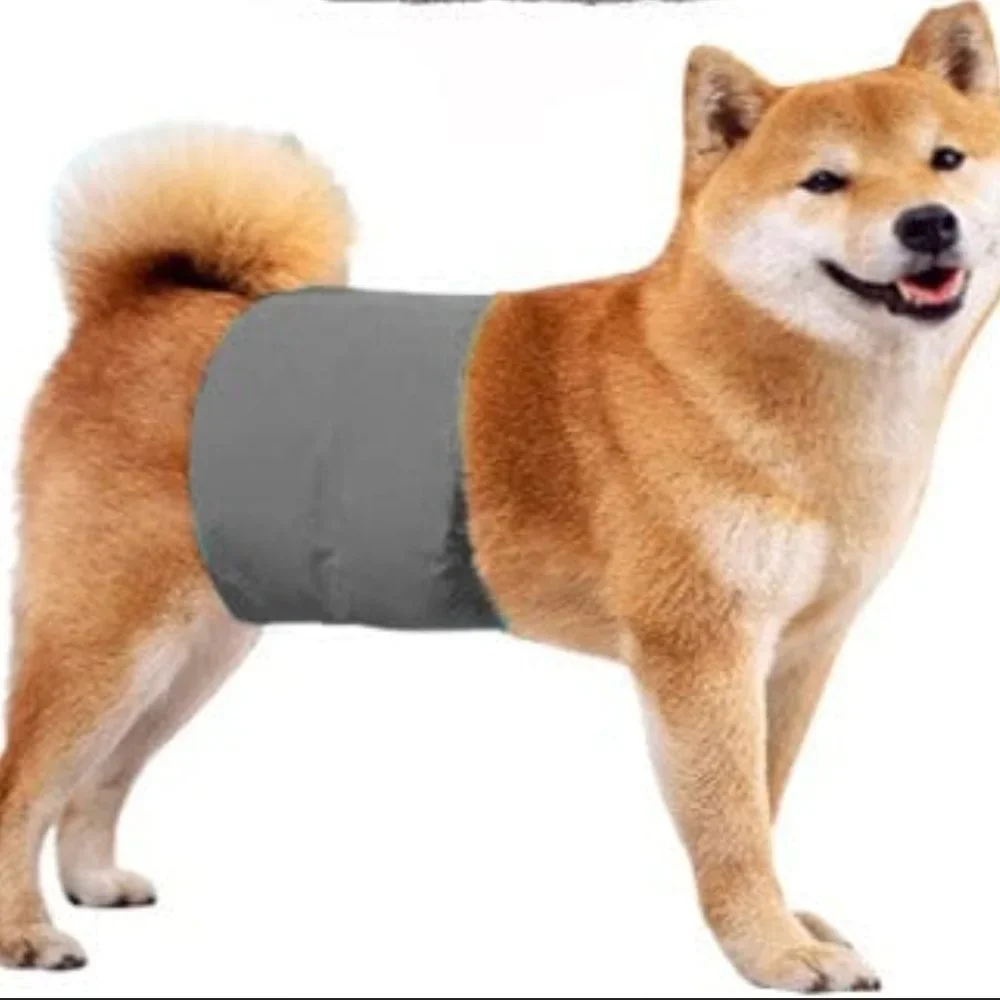 3 Male Dog Diapers Size Medium